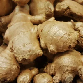 Ginger _ Essential Oil