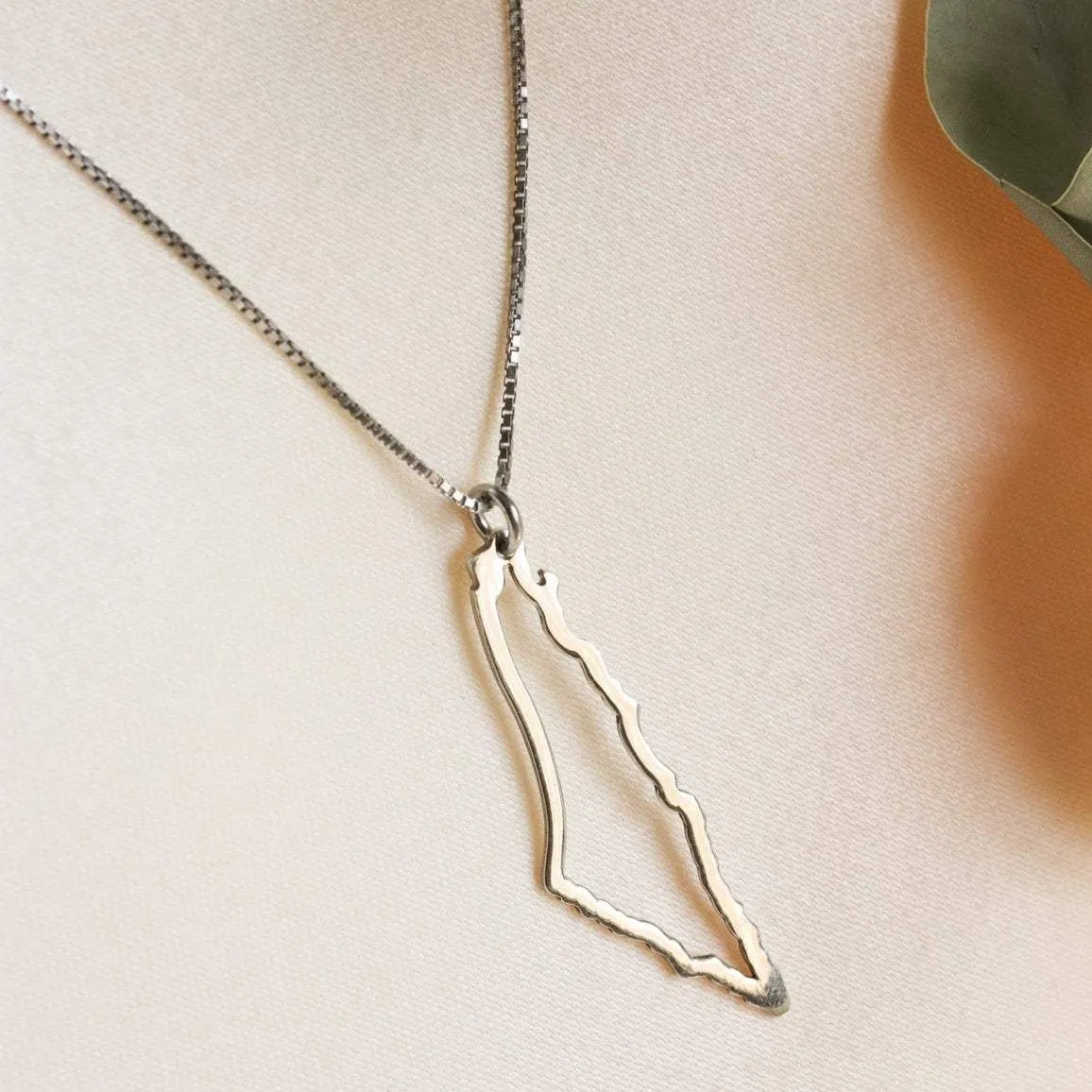 Silver Simple Palestine map necklace سنسال خريطة فلسطين ناعم