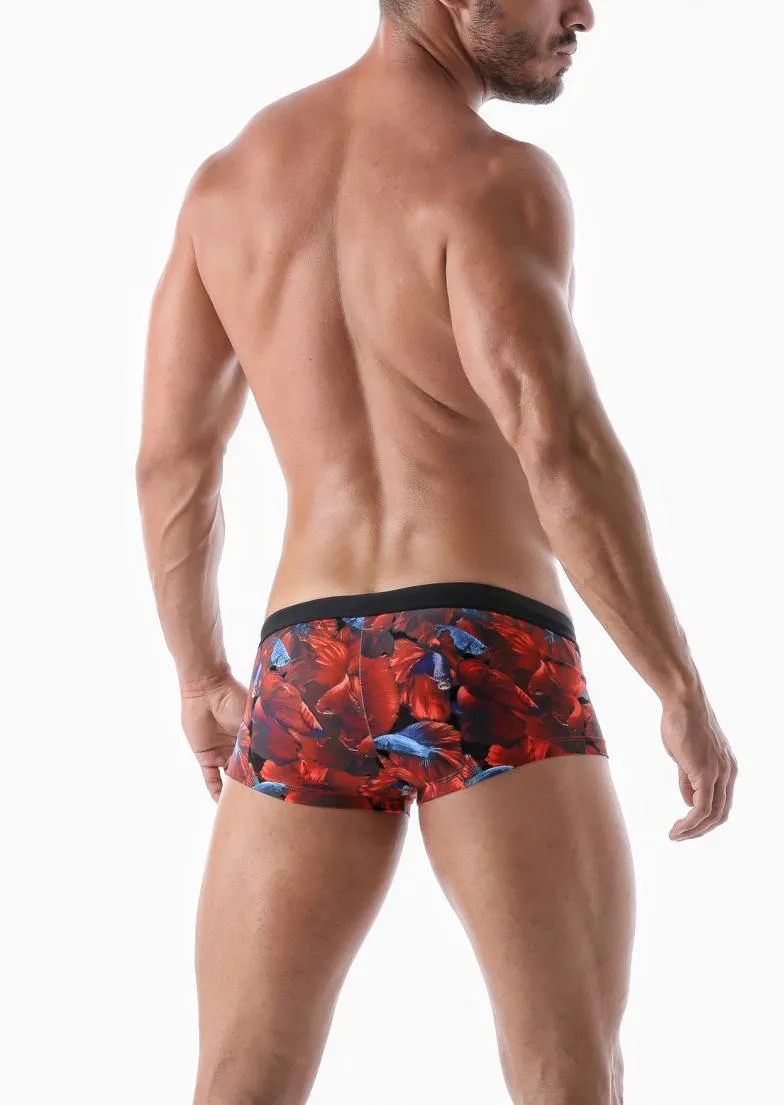 SWIMMING TRUNK 2026b2